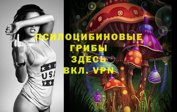 спиды Армянск