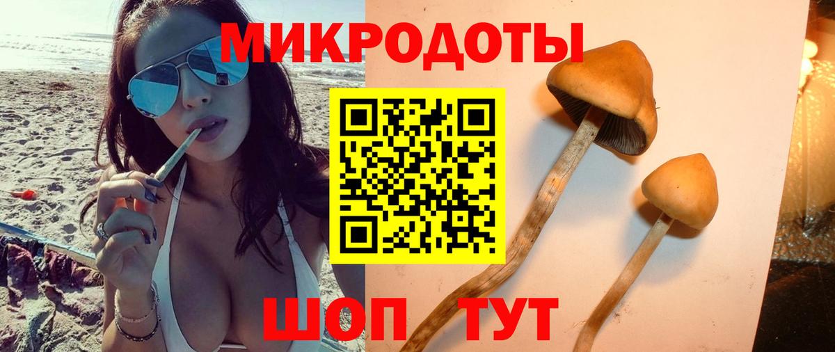 Псилоцибиновые грибы Psilocybine cubensis  Вход с VPN  Псилоцибиновые грибы Magic Shrooms  Электрогорск 