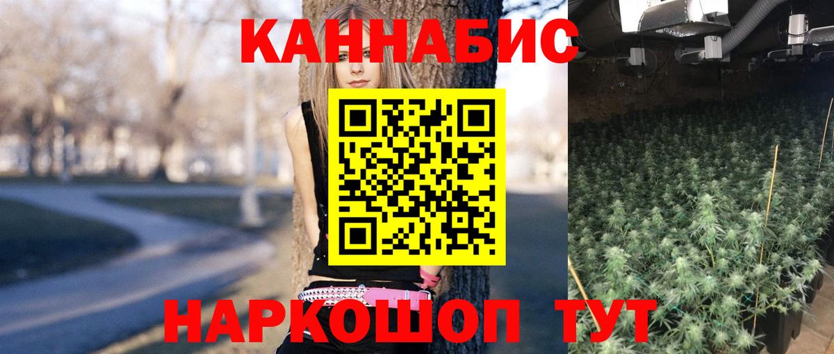 Электрогорск  Каннабис гибрид  Вход с VPN  Каннабис сатива 